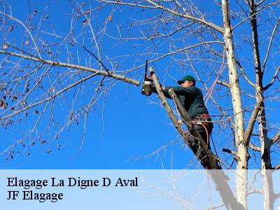 Elagage  la-digne-d-aval-11300 JF Elagage