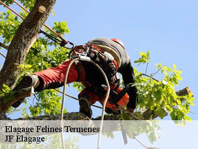 Elagage  felines-termenes-11330 JF Elagage