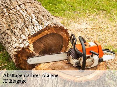 Abattage d'arbres  alaigne-11240 JF Elagage