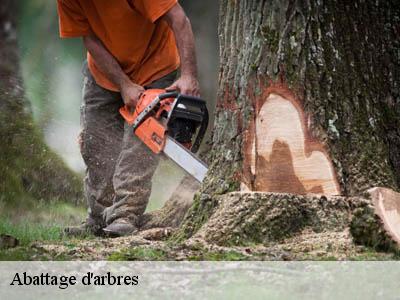 Abattage d'arbres  festes-et-saint-andre-11300 JF Elagage