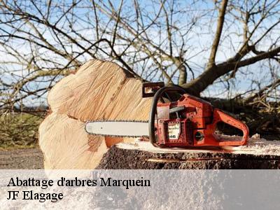 Abattage d'arbres  marquein-11410 JF Elagage