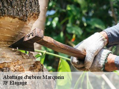 Abattage d'arbres  marquein-11410 JF Elagage