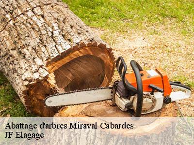 Abattage d'arbres  miraval-cabardes-11380 JF Elagage