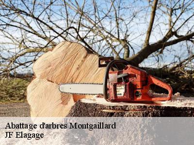 Abattage d'arbres  montgaillard-11330 JF Elagage