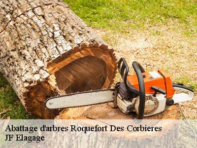 Abattage d'arbres  roquefort-des-corbieres-11540 JF Elagage