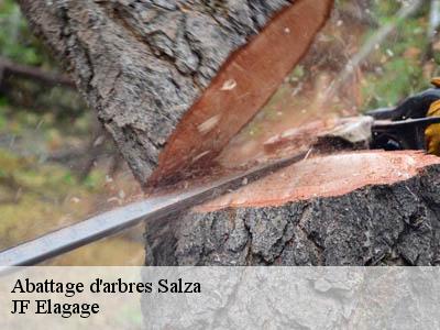 Abattage d'arbres  salza-11330 JF Elagage