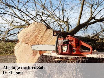 Abattage d'arbres  salza-11330 JF Elagage