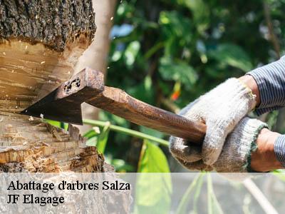 Abattage d'arbres  salza-11330 JF Elagage