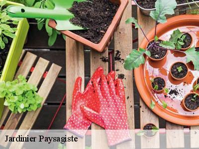 Jardinier Paysagiste  le-bousquet-11140 JF Elagage