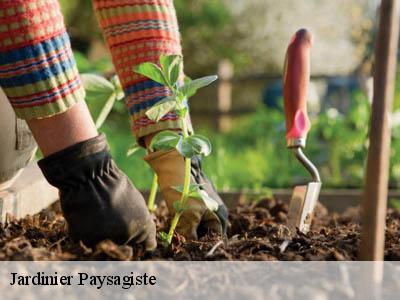 Jardinier Paysagiste  le-bousquet-11140 JF Elagage