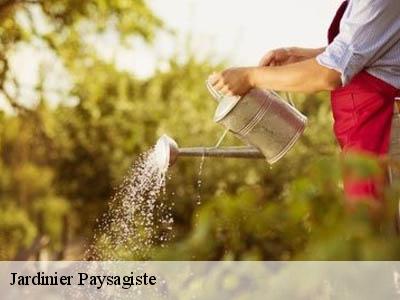 Jardinier Paysagiste  felines-termenes-11330 JF Elagage