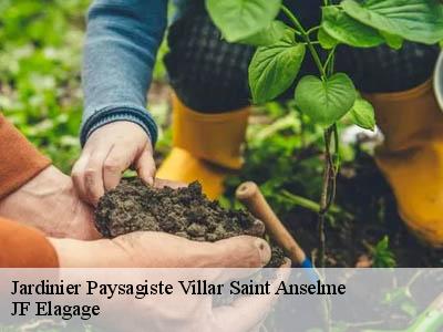 Jardinier Paysagiste  villar-saint-anselme-11250 JF Elagage