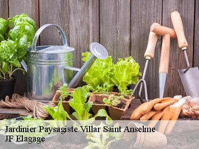 Jardinier Paysagiste  villar-saint-anselme-11250 JF Elagage