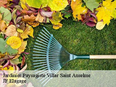 Jardinier Paysagiste  villar-saint-anselme-11250 JF Elagage